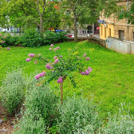 Apartman Anna Zentrum *